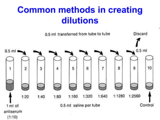 Common methods in creating
dilutions
 