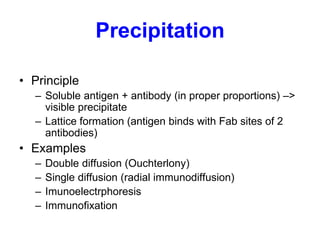 Precipitation
• Principle
– Soluble antigen + antibody (in proper proportions) –>
visible precipitate
– Lattice formation (antigen binds with Fab sites of 2
antibodies)
• Examples
– Double diffusion (Ouchterlony)
– Single diffusion (radial immunodiffusion)
– Imunoelectrphoresis
– Immunofixation
 
