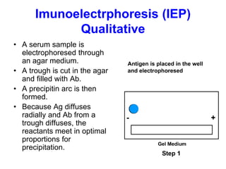 Imunoelectrphoresis (IEP)
Qualitative
• A serum sample is
electrophoresed through
an agar medium.
• A trough is cut in the agar
and filled with Ab.
• A precipitin arc is then
formed.
• Because Ag diffuses
radially and Ab from a
trough diffuses, the
reactants meet in optimal
proportions for
precipitation.
 