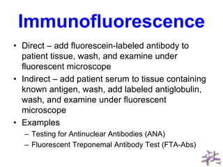 Immunofluorescence
• Direct – add fluorescein-labeled antibody to
patient tissue, wash, and examine under
fluorescent microscope
• Indirect – add patient serum to tissue containing
known antigen, wash, add labeled antiglobulin,
wash, and examine under fluorescent
microscope
• Examples
– Testing for Antinuclear Antibodies (ANA)
– Fluorescent Treponemal Antibody Test (FTA-Abs)
 