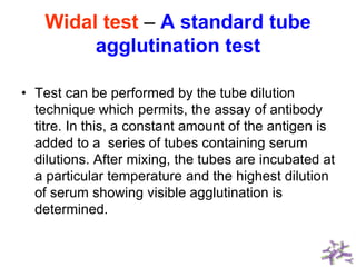 Widal test – A standard tube
agglutination test
• Test can be performed by the tube dilution
technique which permits, the assay of antibody
titre. In this, a constant amount of the antigen is
added to a series of tubes containing serum
dilutions. After mixing, the tubes are incubated at
a particular temperature and the highest dilution
of serum showing visible agglutination is
determined.
 