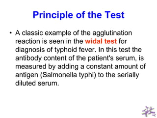 Principle of the Test
• A classic example of the agglutination
reaction is seen in the widal test for
diagnosis of typhoid fever. In this test the
antibody content of the patient's serum, is
measured by adding a constant amount of
antigen (Salmonella typhi) to the serially
diluted serum.
 