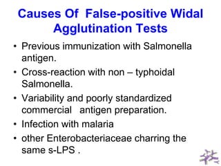 Causes Of False-positive Widal
Agglutination Tests
• Previous immunization with Salmonella
antigen.
• Cross-reaction with non – typhoidal
Salmonella.
• Variability and poorly standardized
commercial antigen preparation.
• Infection with malaria
• other Enterobacteriaceae charring the
same s-LPS .
 