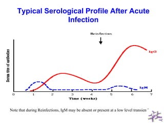 Typical Serological Profile After Acute
Infection
Note that during Reinfections, IgM may be absent or present at a low level transiently
 