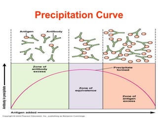 Precipitation Curve
 