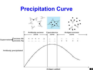 Precipitation Curve
 