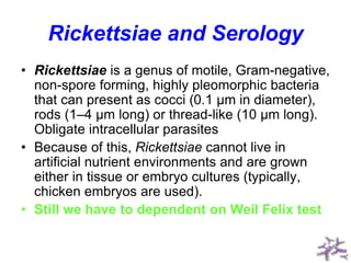 Rickettsiae and Serology
• Rickettsiae is a genus of motile, Gram-negative,
non-spore forming, highly pleomorphic bacteria
that can present as cocci (0.1 μm in diameter),
rods (1–4 μm long) or thread-like (10 μm long).
Obligate intracellular parasites
• Because of this, Rickettsiae cannot live in
artificial nutrient environments and are grown
either in tissue or embryo cultures (typically,
chicken embryos are used).
• Still we have to dependent on Weil Felix test
 