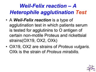 Weil-Felix reaction – A
Heterophile agglutination Test
• A Weil-Felix reaction is a type of
agglutination test in which patients serum
is tested for agglutinins to O antigen of
certain non-motile Proteus and rickettsial
strains(OX19, OX2, OXk)
• OX19, OX2 are strains of Proteus vulgaris.
OXk is the strain of Proteus mirabilis.
 