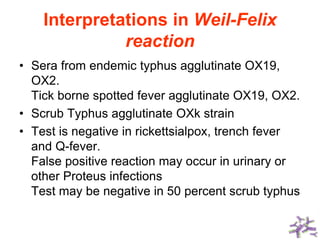 Interpretations in Weil-Felix
reaction
• Sera from endemic typhus agglutinate OX19,
OX2.
Tick borne spotted fever agglutinate OX19, OX2.
• Scrub Typhus agglutinate OXk strain
• Test is negative in rickettsialpox, trench fever
and Q-fever.
False positive reaction may occur in urinary or
other Proteus infections
Test may be negative in 50 percent scrub typhus
 