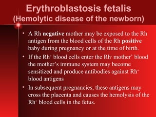 Erythroblastosis fetalis (Hemolytic disease of the newborn) A Rh  negative  mother may be exposed to the Rh antigen from the blood cells of the Rh  positive  baby during pregnancy or at the time of birth. If the Rh +  blood cells enter the Rh -  mother’ blood the mother’s immune system may become sensitized and produce antibodies against Rh +  blood antigens In subsequent pregnancies, these antigens may cross the placenta and causes the hemolysis of the Rh +  blood cells in the fetus. 