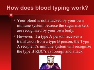 How does blood typing work? Your blood is not attacked by your own immune system because the sugar markers are recognized by your own body. However, if a type A person receives a transfusion from a type B person, the Type A recipient’s immune system will recognize the type B RBC’s as foreign and attack. 