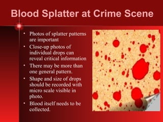 Blood Splatter at Crime Scene Photos of splatter patterns are important Close-up photos of individual drops can reveal critical information There may be more than one general pattern. Shape and size of drops should be recorded with micro scale visible in photo. Blood itself needs to be collected. 