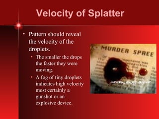 Velocity of Splatter Pattern should reveal the velocity of the droplets. The smaller the drops the faster they were moving. A fog of tiny droplets indicates high velocity most certainly a gunshot or an explosive device. 