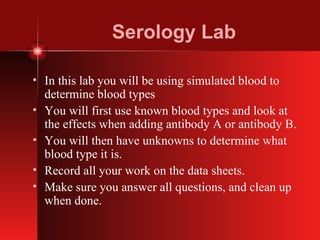Serology Lab In this lab you will be using simulated blood to determine blood types You will first use known blood types and look at the effects when adding antibody A or antibody B. You will then have unknowns to determine what blood type it is. Record all your work on the data sheets. Make sure you answer all questions, and clean up when done. 