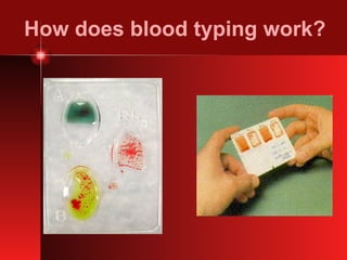 How does blood typing work? 