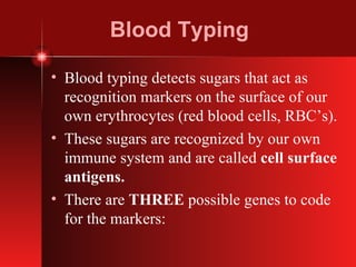 Blood Typing Blood typing detects sugars that act as recognition markers on the surface of our own erythrocytes (red blood cells, RBC’s).  These sugars are recognized by our own immune system and are called  cell surface antigens. There are  THREE  possible genes to code for the markers: 