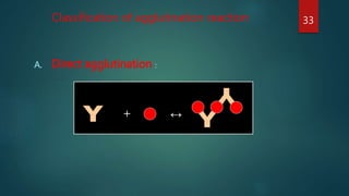 Classification of agglutination reaction
A. Direct agglutination :
+ ↔
33
 