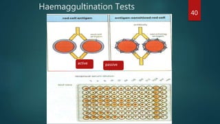 Haemaggultination Tests
active passive
40
 