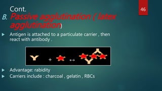 Cont.
B. Passive agglutination ( latex
agglutination)
 Antigen is attached to a particulate carrier , then
react with antibody .
 Advantage: rabidity
 Carriers include : charcoal , gelatin , RBCs
+ ↔
46
 