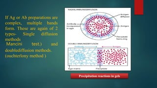 If Ag or Ab preparations are
complex, multiple bands
form. These are again of 2
types- Single diffusion
methods
Mancini test.) and
doublediffusion methods.
(ouchterlony method )
Precipitation reactions in gels
 