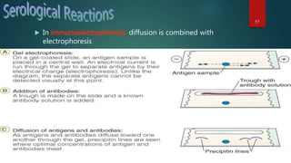 57
 In immunoelectrophoresis, diffusion is combined with
electrophoresis
 