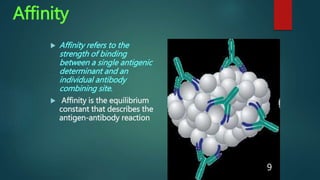 Affinity
 Affinity refers to the
strength of binding
between a single antigenic
determinant and an
individual antibody
combining site.
 Affinity is the equilibrium
constant that describes the
antigen-antibody reaction
9
 