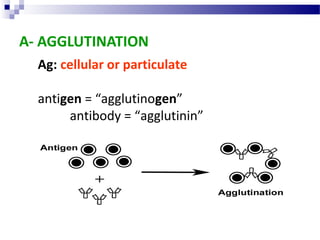 A- AGGLUTINATION
Ag: cellular or particulate
antigen = “agglutinogen”
antibody = “agglutinin”

 