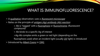 WHAT IS IMMUNOFLUORESCENCE?
• A qualitative observation; uses a fluorescent microscope
• Relies on the principle of antigen (Ag)-antibody (Ab) reaction:
> Ab is “tagged” with a fluorophore or fluorochrome (fluorescent
compound)
> Ab binds to a specific Ag of interest
>Ag-Ab complex emits a green or red light (depending on the
fluorophore used) when an incident light (usually UV light) is introduced
• Introduced by Albert Coons in 1941
 