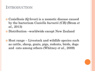Seroprevalence and risk factors of Coxiella burnetii (Q fever) infection among humans in Bura irrigation scheme, Tana River County, Kenya