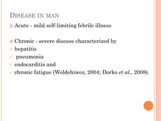 Seroprevalence and risk factors of Coxiella burnetii (Q fever) infection among humans in Bura irrigation scheme, Tana River County, Kenya