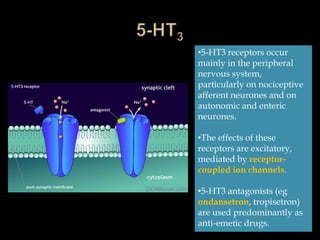 •5-HT3 receptors occur
mainly in the peripheral
nervous system,
particularly on nociceptive
afferent neurones and on
autonomic and enteric
neurones.

•The effects of these
receptors are excitatory,
mediated by receptor-
coupled ion channels.

•5-HT3 antagonists (eg
ondansetron, tropisetron)
are used predominantly as
anti-emetic drugs.
 