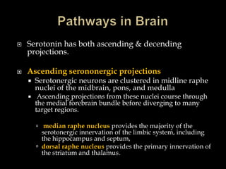    Serotonin has both ascending & decending
    projections.

   Ascending serononergic projections
       Serotonergic neurons are clustered in midline raphe
        nuclei of the midbrain, pons, and medulla
        Ascending projections from these nuclei course through
        the medial forebrain bundle before diverging to many
        target regions.

         median raphe nucleus provides the majority of the
          serotonergic innervation of the limbic system, including
          the hippocampus and septum,
         dorsal raphe nucleus provides the primary innervation of
          the striatum and thalamus.
 