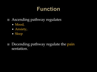    Ascending pathway regulates
       Mood,
       Anxiety,
       Sleep


   Decending pathway regulate the pain
    sentation.
 