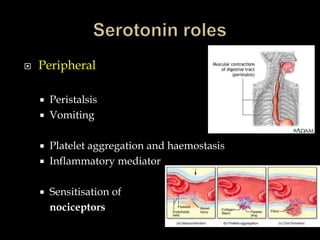    Peripheral

       Peristalsis
       Vomiting

       Platelet aggregation and haemostasis
       Inflammatory mediator

       Sensitisation of
        nociceptors
 