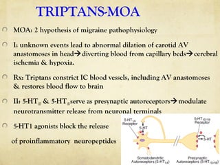 Serotonin.dr.asa