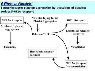 6-Effect on Platelets:
Serotonin causes platelets aggragation by activation of platelets
surface 5-HT2A receptors
 
