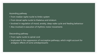Ascending pathway
• From median raphe nuclei to limbic system
• From dorsal raphe nuclei to thalamus and striatum
• Involved in regulation of mood, anxiety, sleep-wake cycle and feeding behaviour
• Also involved in execution of rhythmic motor movements
Descending pathway
• From raphe nuclei to spinal cord
• Implicated in the suppression of nociceptive pathways, which might account for
analgesic effects of some antidepressants