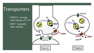 Transporters
• VMAT2- storage
and release of 5-HT
• SERT- reuptake
after release