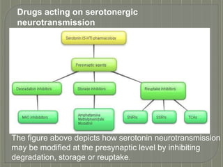 Drugs acting on serotonergic
neurotransmission
The figure above depicts how serotonin neurotransmission
may be modified at the presynaptic level by inhibiting
degradation, storage or reuptake.
 