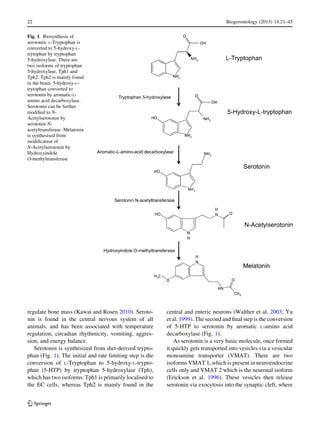 serotonin.pdf the role of serotoni in ps | PDF