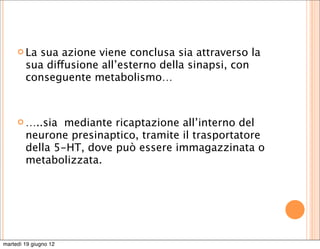  La sua azione viene conclusa sia attraverso la
        sua diffusione all’esterno della sinapsi, con
        conseguente metabolismo…



      …..sia   mediante ricaptazione all’interno del
        neurone presinaptico, tramite il trasportatore
        della 5-HT, dove può essere immagazzinata o
        metabolizzata.




martedì 19 giugno 12
 