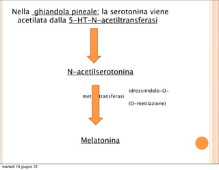 Nella ghiandola pineale: la serotonina viene
      acetilata dalla 5-HT-N-acetiltransferasi




                       N-acetilserotonina

                                                 idrossiindolo-O-
                           metiltiltransferasi
                                                 (O-metilazione)




                          Melatonina


martedì 19 giugno 12
 