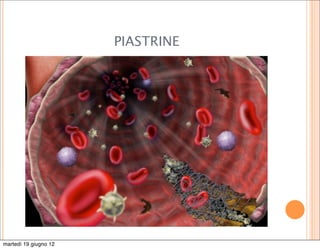 PIASTRINE




martedì 19 giugno 12
 