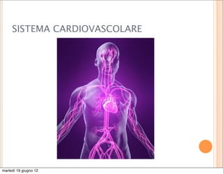 SISTEMA CARDIOVASCOLARE




martedì 19 giugno 12
 