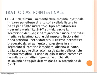 TRATTO GASTROINTESTINALE
     La 5-HT determina l’aumento della motilità intestinale
       in parte per effetto diretto sulle cellule lisce e in
       parte per effetto indiretto di tipo eccitatorio sui
       neuroni enterici. La 5-HT stimola anche la
       secrezione di ﬂuidi; inoltre provoca nausea e vomito
       mediante la stimolazione del muscolo liscio e dei
       nervi sensoriali nello stomaco. Il riﬂesso peristaltico,
       provocato da un aumento di pressione in un
       segmento d’intestino è mediato, almeno in parte,
       dalla secrezione di serotonina da parte delle cellule
       enterocromaffini, in risposta allo stimolo meccanico.
       Le cellule cromaffini rispondono anche alla
       stimolazione vagale determinando la secrezione di
       5-HT.

martedì 19 giugno 12
 