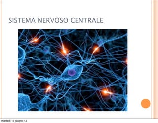 SISTEMA NERVOSO CENTRALE




martedì 19 giugno 12
 