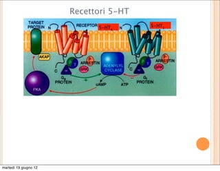 Recettori 5-HT
                             5-HT4      5-HT1




martedì 19 giugno 12
 