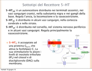 Sottotipi del Recettore 5-HT
      5-HT1D: è un autorecettore distribuito nei terminali assonici, nei
       vasi sanguigni cranici, nella substantia nigra e nei gangli della
       base. Regola l’ansia, la locomozione e la vasocostrizione.
      5-HT1E: è distribuito in alcuni vasi sanguigni, nella corteccia
       cerebrale e nello striato.
      5-HT1F: è distribuito nel cervello, nel sistema nervoso periferico
       e in alcuni vasi sanguigni. Regola principalmente la
       vasocostrizione.


          5-HT2: è accoppiato ad            5-HT2
           una proteina Gq/11 che
           attiva la fosfolipasi C. La
           sua stimolazione fa alzare i
           livelli di inositolo trifosfato
           (IP3) nel citosol e di
           diacilglicerolo (DAG) sulla
           membrana.

martedì 19 giugno 12
 