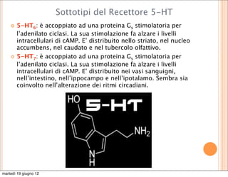 Sottotipi del Recettore 5-HT
       5-HT6: è accoppiato ad una proteina Gs stimolatoria per
        l’adenilato ciclasi. La sua stimolazione fa alzare i livelli
        intracellulari di cAMP. E’ distribuito nello striato, nel nucleo
        accumbens, nel caudato e nel tubercolo olfattivo.
       5-HT7: è accoppiato ad una proteina Gs stimolatoria per
        l’adenilato ciclasi. La sua stimolazione fa alzare i livelli
        intracellulari di cAMP. E’ distribuito nei vasi sanguigni,
        nell’intestino, nell’ippocampo e nell’ipotalamo. Sembra sia
        coinvolto nell’alterazione dei ritmi circadiani.




martedì 19 giugno 12
 