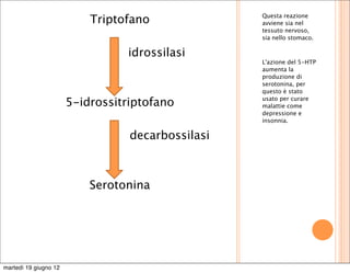 Triptofano              Questa reazione
                                                   avviene sia nel
                                                   tessuto nervoso,
                                                   sia nello stomaco.

                                 idrossilasi
                                                   L'azione del 5-HTP
                                                   aumenta la
                                                   produzione di
                                                   serotonina, per
                                                   questo è stato

                       5-idrossitriptofano         usato per curare
                                                   malattie come
                                                   depressione e
                                                   insonnia.

                                  decarbossilasi



                           Serotonina




martedì 19 giugno 12
 